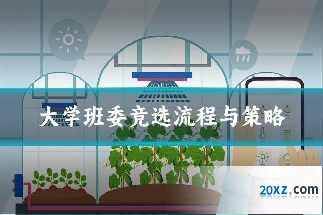 大学班委竞选流程与策略