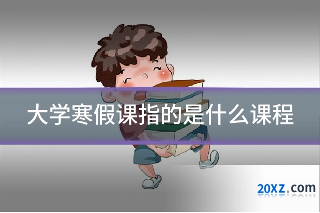 大学寒假课指的是什么课程
