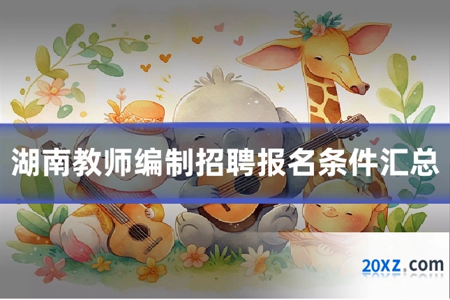 湖南教师编制招聘报名条件汇总
