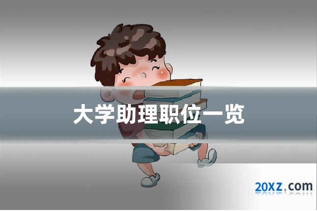 大学助理职位一览