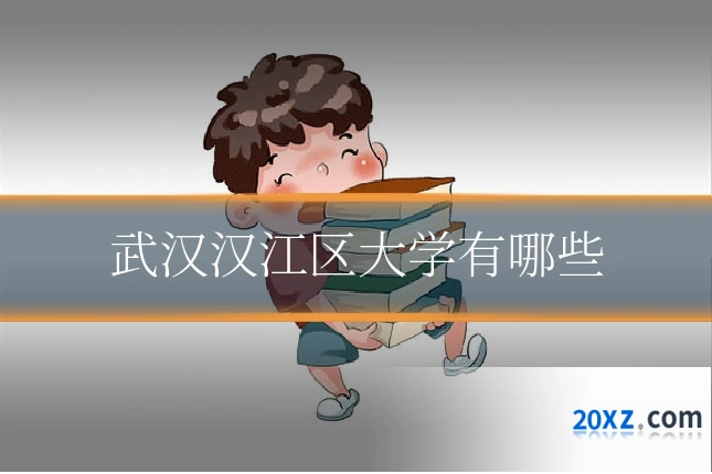 武汉汉江区大学有哪些