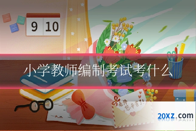 小学教师编制考试考什么