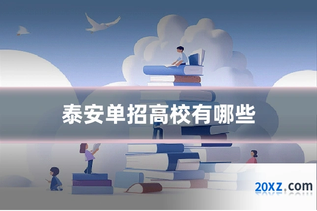 泰安单招高校有哪些