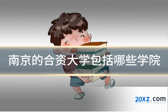 南京的合资大学包括哪些学院