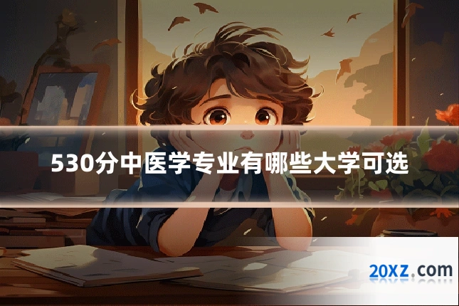 530分中医学专业有哪些大学可选