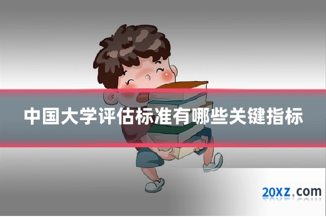 中国大学评估标准有哪些关键指标