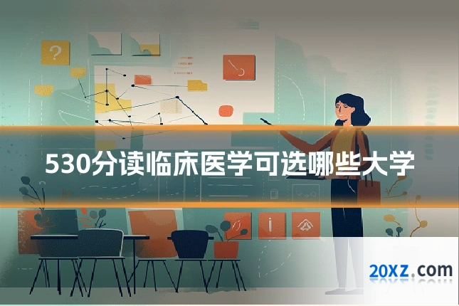530分读临床医学可选哪些大学