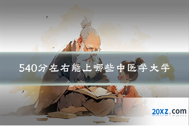 540分左右能上哪些中医学大学