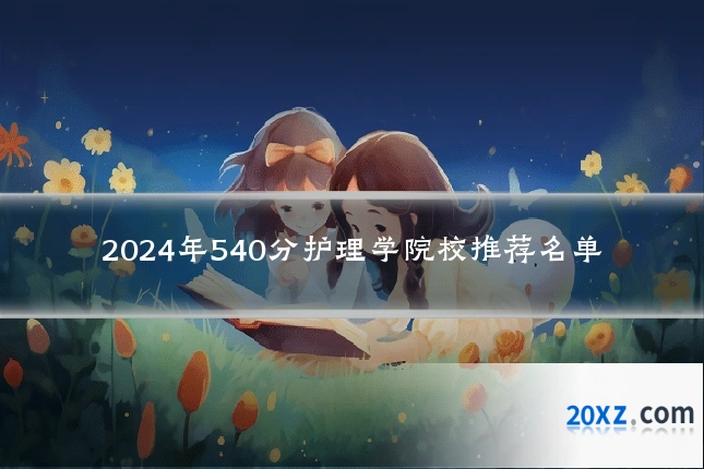 2024年540分护理学院校推荐名单