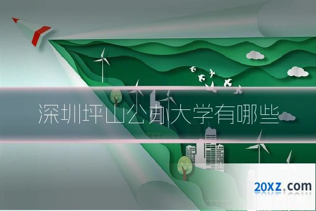 深圳坪山公办大学有哪些