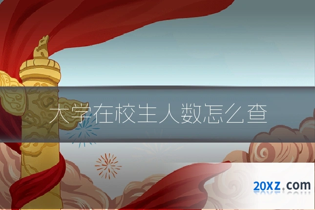 大学在校生人数怎么查