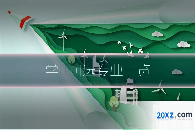 学IT可选专业一览