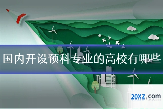 国内开设预科专业的高校有哪些