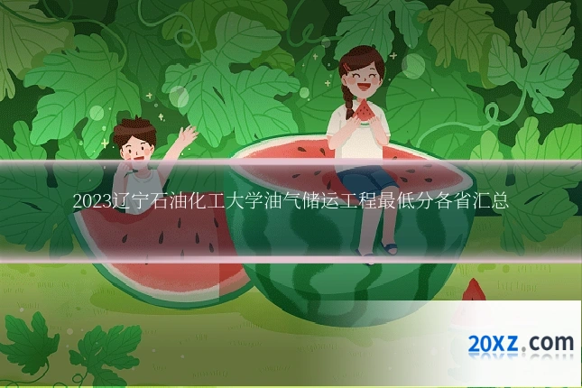 2023辽宁石油化工大学油气储运工程最低分各省汇总