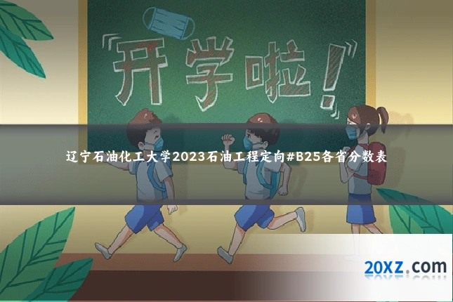 辽宁石油化工大学2023石油工程定向#B25各省分数表