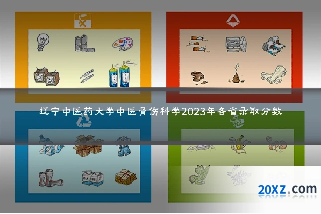 辽宁中医药大学中医骨伤科学2023年各省录取分数