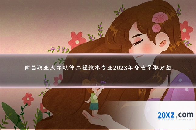 南昌职业大学软件工程技术专业2023年各省录取分数