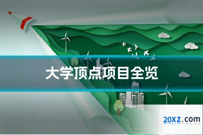 大学顶点项目全览