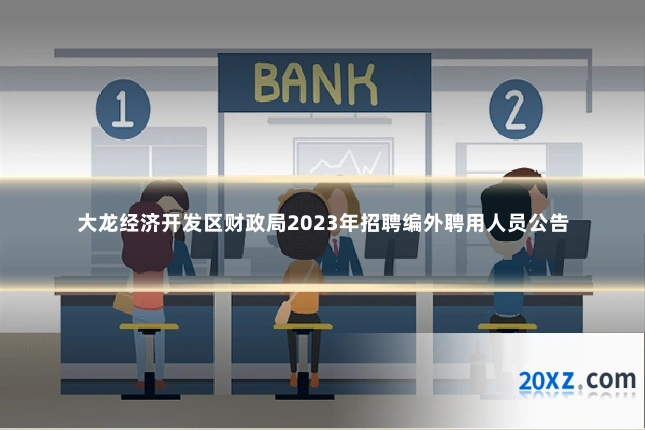 大龙经济开发区财政局2023年招聘编外聘用人员公告