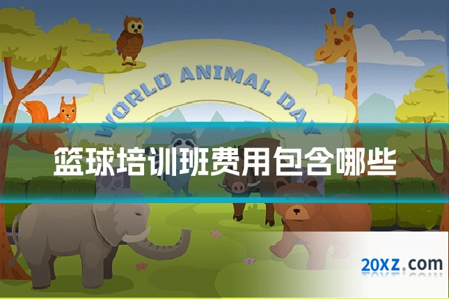 篮球培训班费用包含哪些