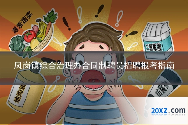 凤岗镇综合治理办合同制聘员招聘报考指南