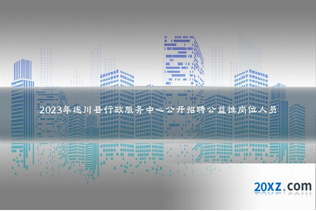 2023年遂川县行政服务中心公开招聘公益性岗位人员