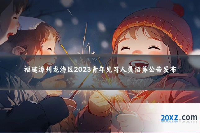福建漳州龙海区2023青年见习人员招募公告发布