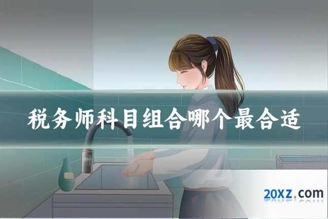 税务师科目组合哪个最合适