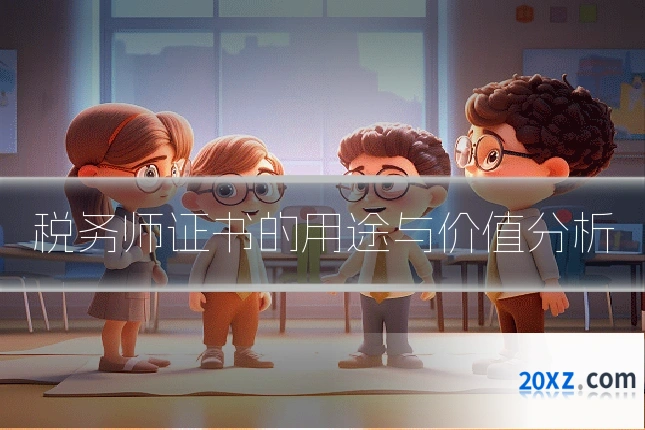税务师证书的用途与价值分析