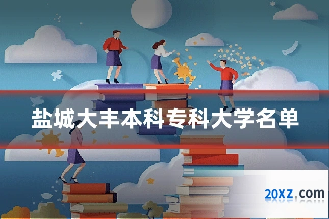 盐城大丰本科专科大学名单
