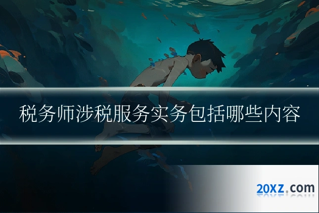 税务师涉税服务实务包括哪些内容