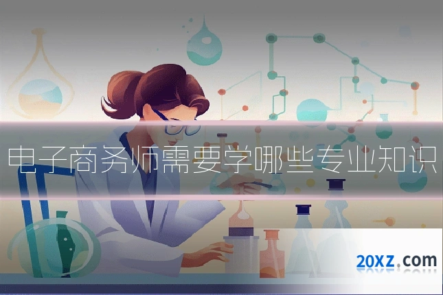 电子商务师需要学哪些专业知识