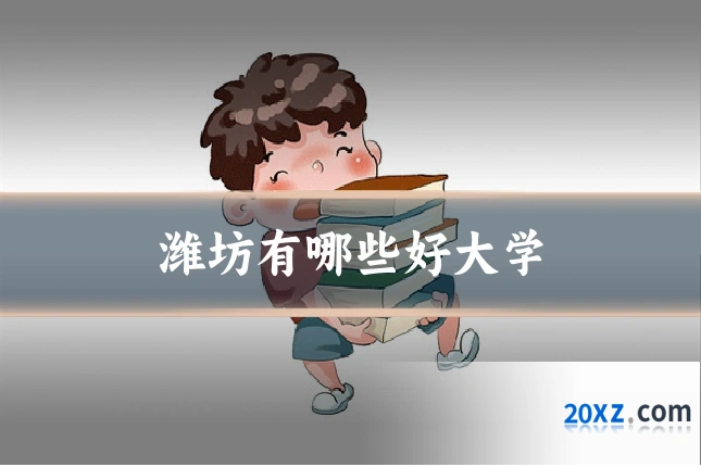 潍坊有哪些好大学
