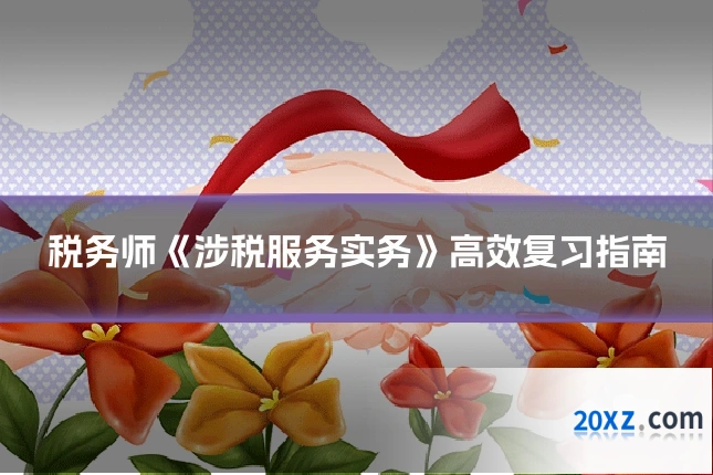 税务师《涉税服务实务》高效复习指南