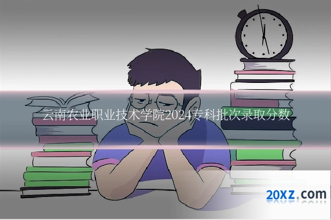 云南农业职业技术学院2024专科批次录取分数