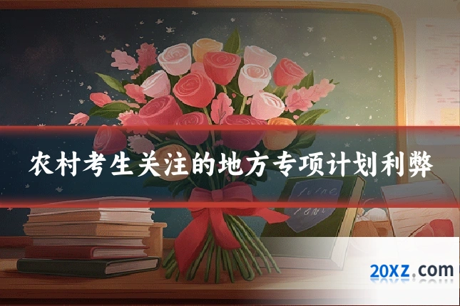 农村考生关注的地方专项计划利弊