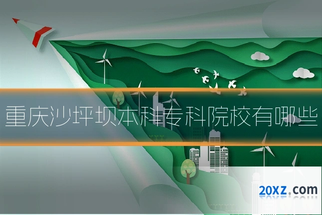 重庆沙坪坝本科专科院校有哪些