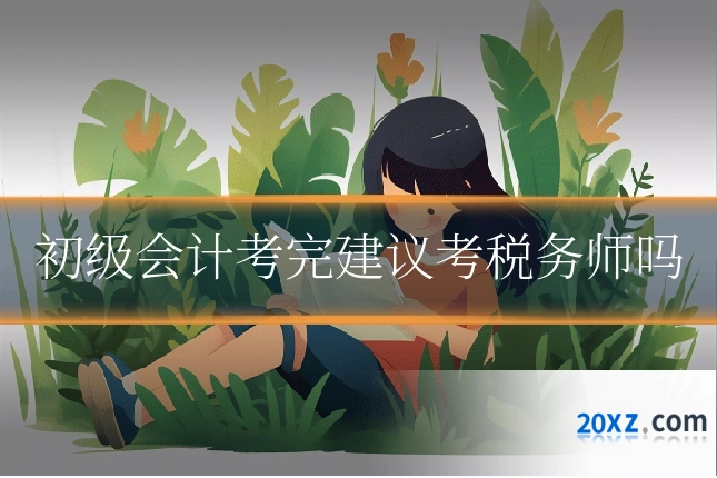 初级会计考完建议考税务师吗