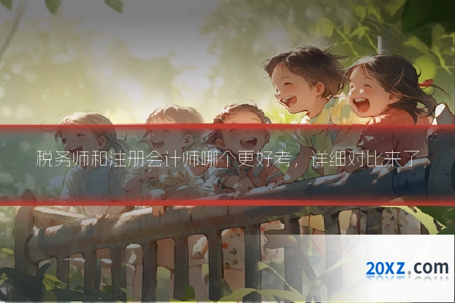 税务师和注册会计师哪个更好考,详细对比来了