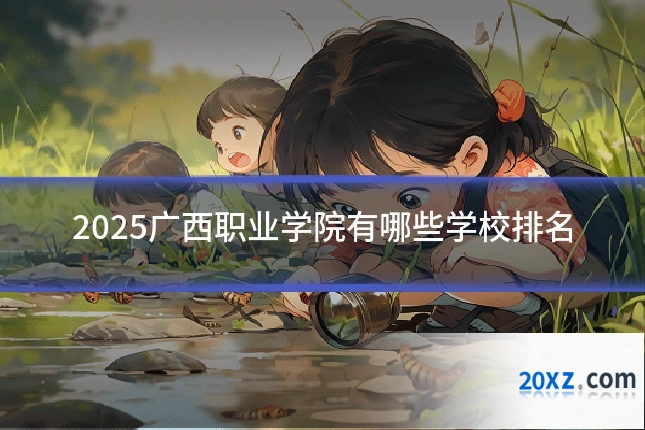 2025广西职业学院有哪些学校排名
