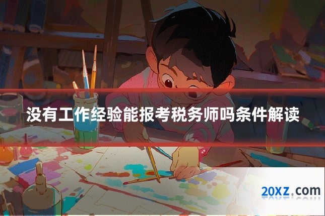没有工作经验能报考税务师吗条件解读