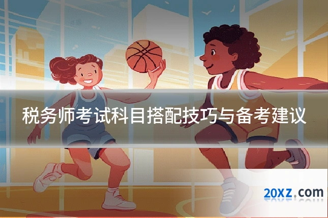税务师考试科目搭配技巧与备考建议