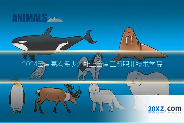 2024云南高考多少分能上云南工贸职业技术学院