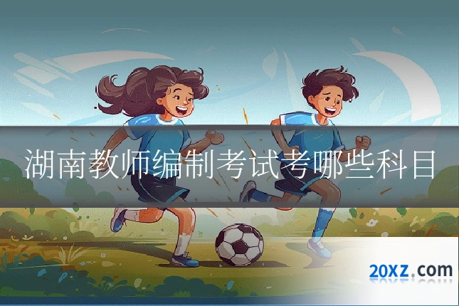 湖南教师编制考试考哪些科目