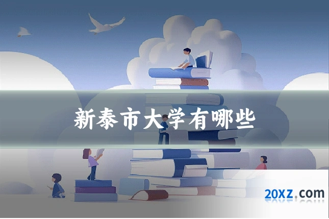 新泰市大学有哪些