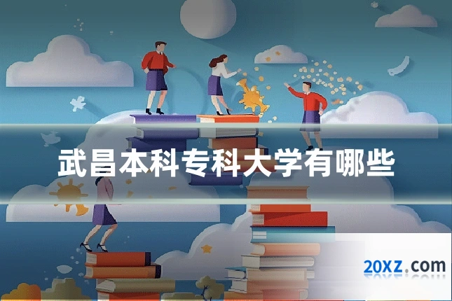 武昌本科专科大学有哪些