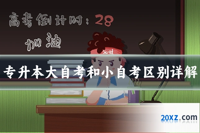 专升本大自考和小自考区别详解