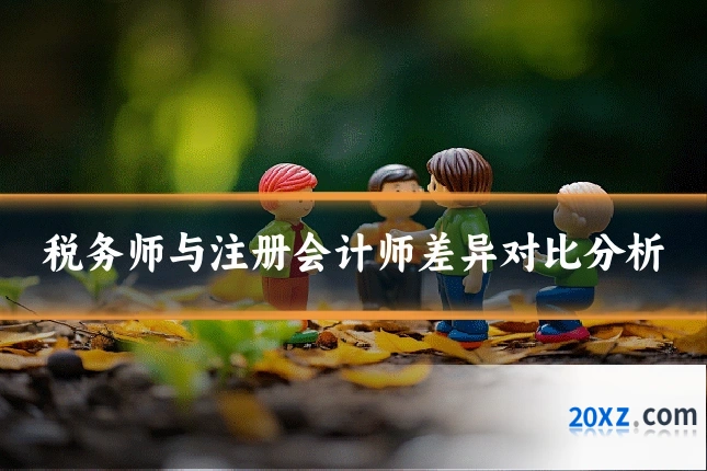 税务师与注册会计师差异对比分析