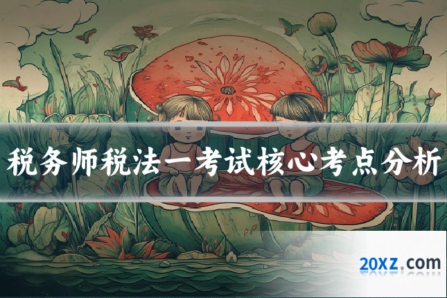 税务师税法一考试核心考点分析