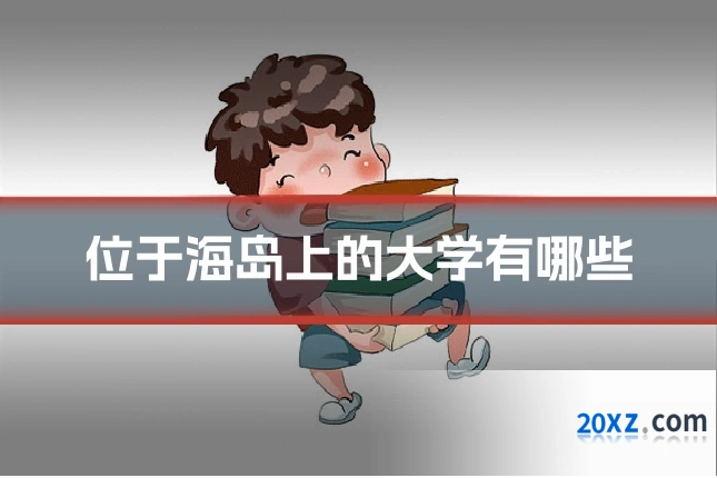 位于海岛上的大学有哪些